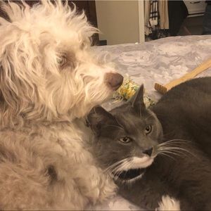 Meet your Posher, Katelyn